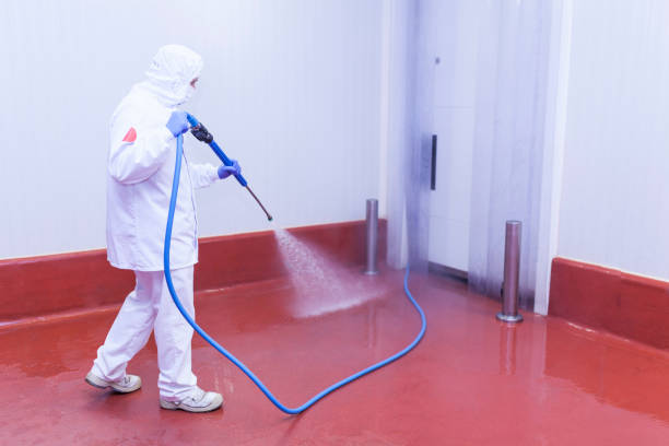 Best Sidewalk and Walkway Pressure Cleaning in Washburn, ND