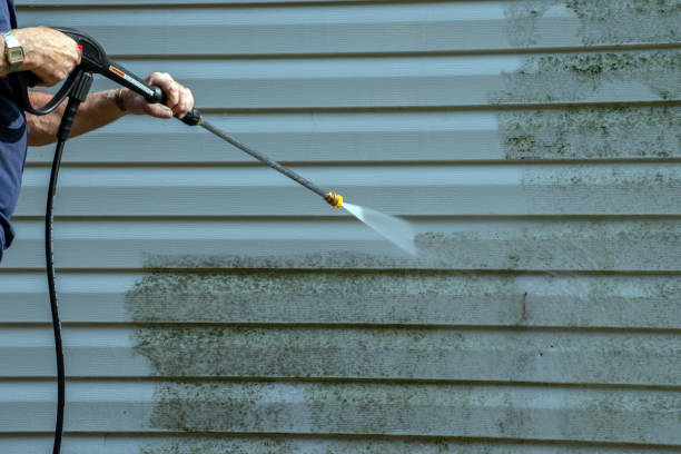 Best Soft Washing for Delicate Surfaces in Washburn, ND